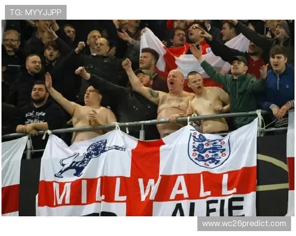 世界杯女球迷走光事件引发公众对赛事现场管理和安全措施的重新审视