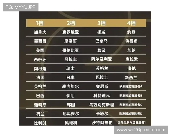 世界杯附加赛名额解析：哪些国家有望争夺最后的晋级机会