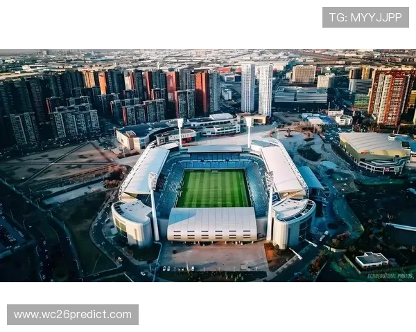 南非世界杯冠军带来的足球文化影响与未来展望