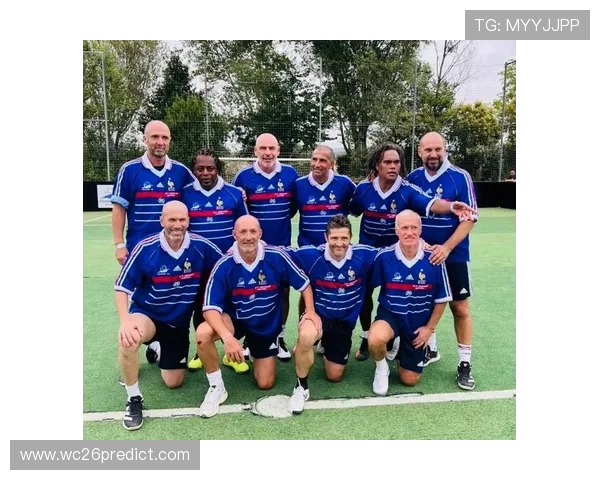 深入分析法国在世界杯上的冠军次数，了解法国足球队的辉煌历史与未来发展趋势