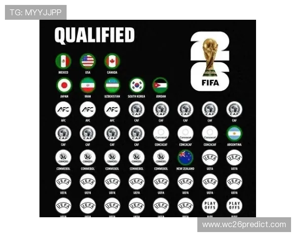 深入解读世界杯决赛圈有几支球队，揭示各队晋级标准和比赛阶段的详细情况