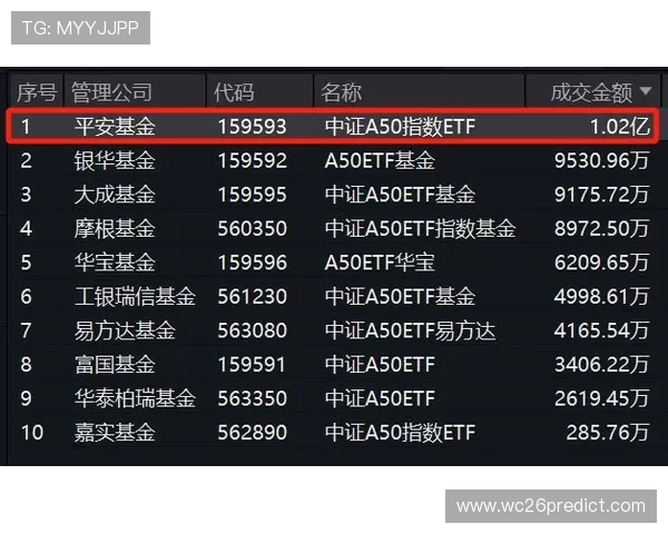 2024年最优63买球平台排行榜，专业评测帮助玩家选择安全可靠的投注渠道