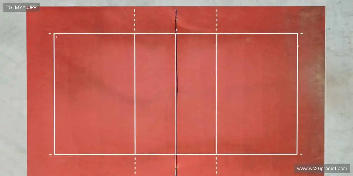 🎯 专业装备,助力你突破极限,成就传奇!🎮